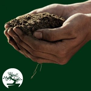 Hands holding bonsai soil